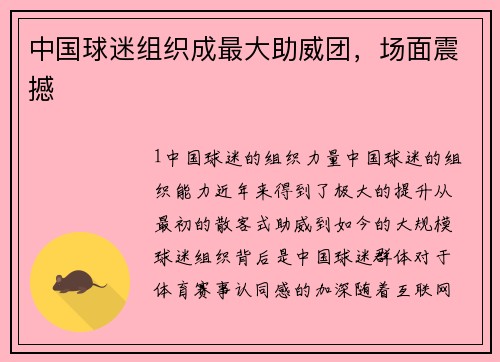 中国球迷组织成最大助威团，场面震撼