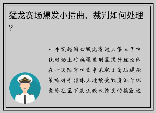 猛龙赛场爆发小插曲，裁判如何处理？
